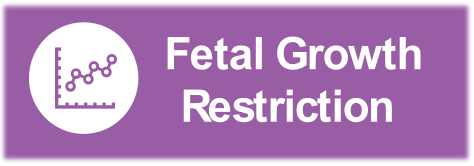Safer Baby Bundle icon - Fetal growth restriction