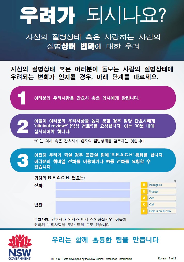 Korean ICON.jpg