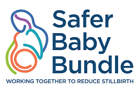 Safer Baby Bundle initiative icon